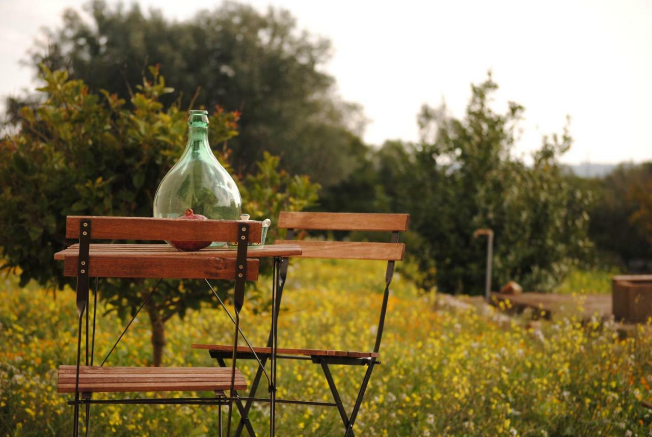 Il Giardino Di Viola Bed & Breakfast Ceglie Messapica Ngoại thất bức ảnh