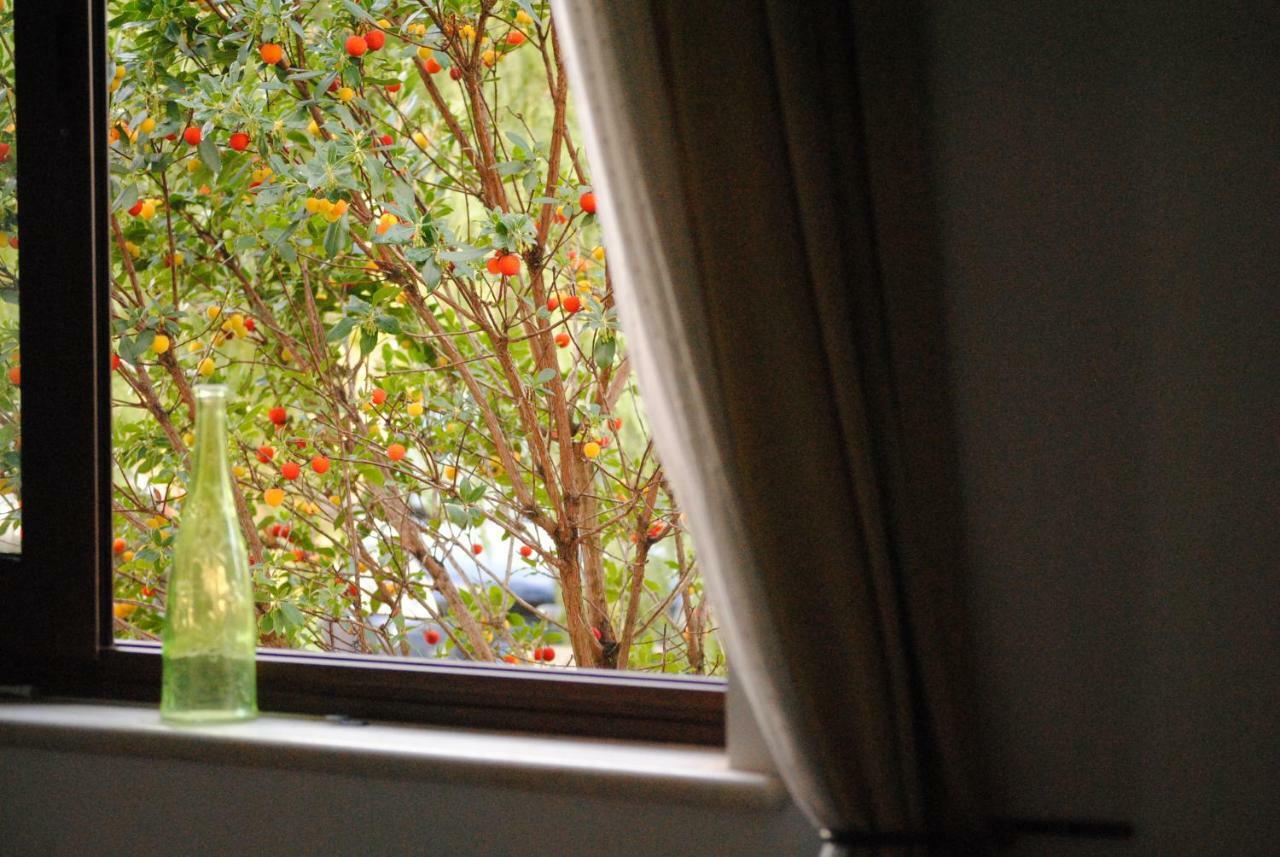 Il Giardino Di Viola Bed & Breakfast Ceglie Messapica Ngoại thất bức ảnh