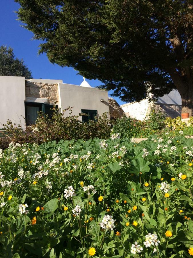 Il Giardino Di Viola Bed & Breakfast Ceglie Messapica Ngoại thất bức ảnh