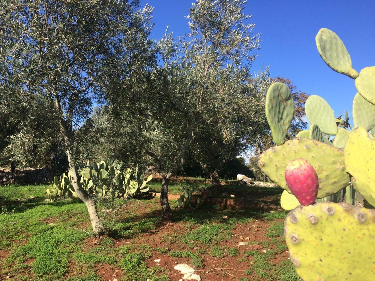 Il Giardino Di Viola Bed & Breakfast Ceglie Messapica Ngoại thất bức ảnh